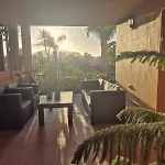Oasis