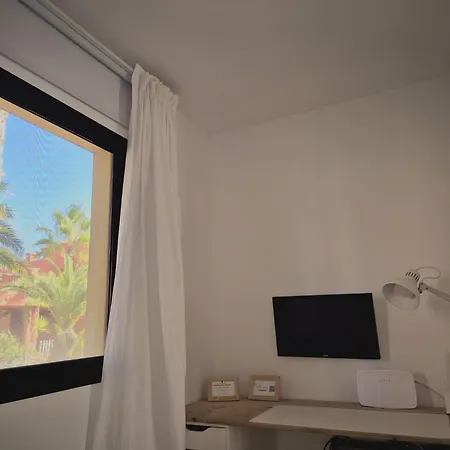 Oasis *