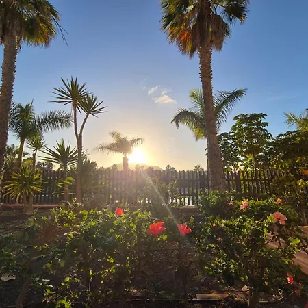Apartamento Oasis *