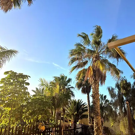 Oasis Lejlighed Corralejo