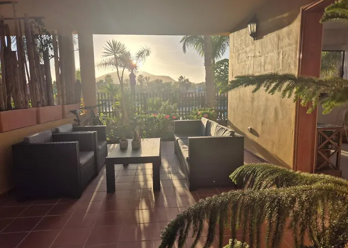 Oasis