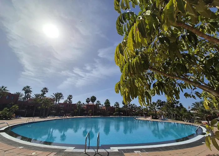 Oasis *
